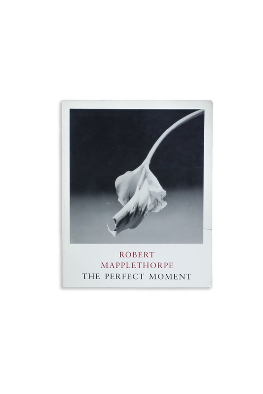 Robert Mapplethorpe: The Perfect Moment