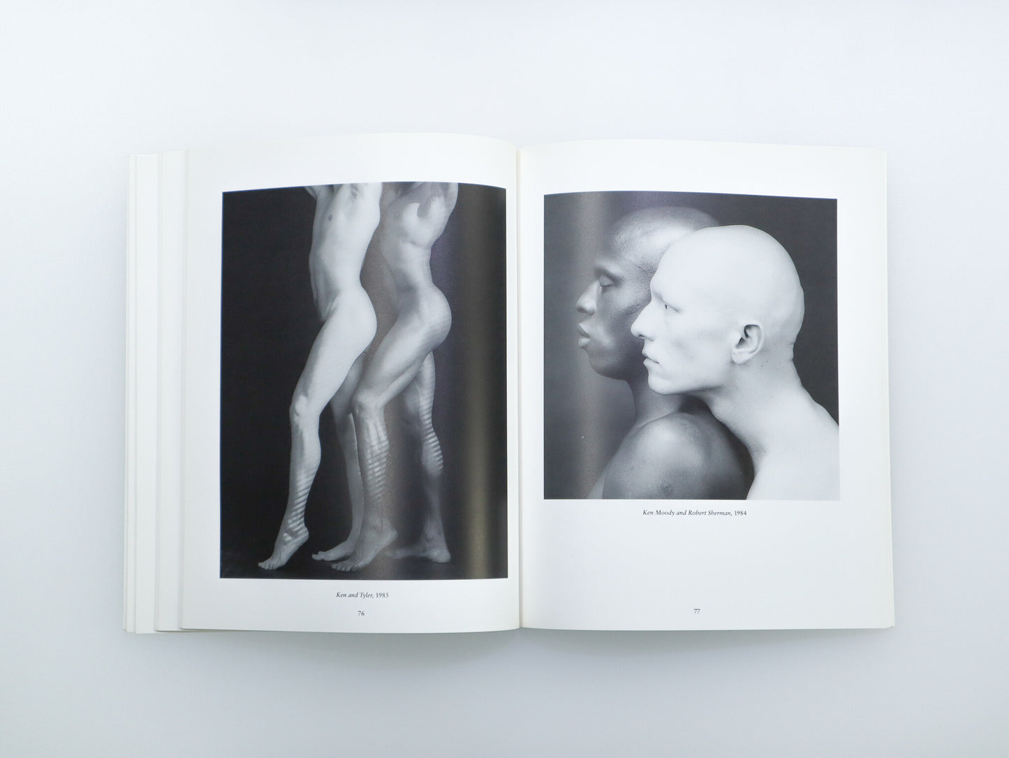 Robert Mapplethorpe: The Perfect Moment