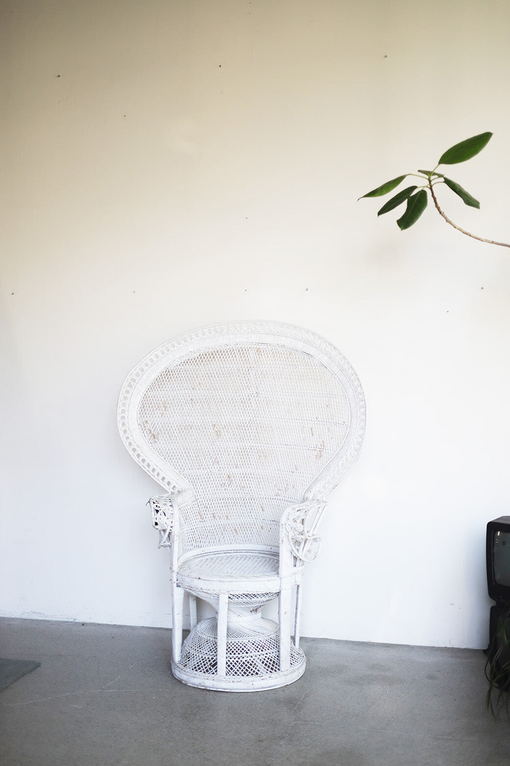 Vintage Peacock Oversized Chair