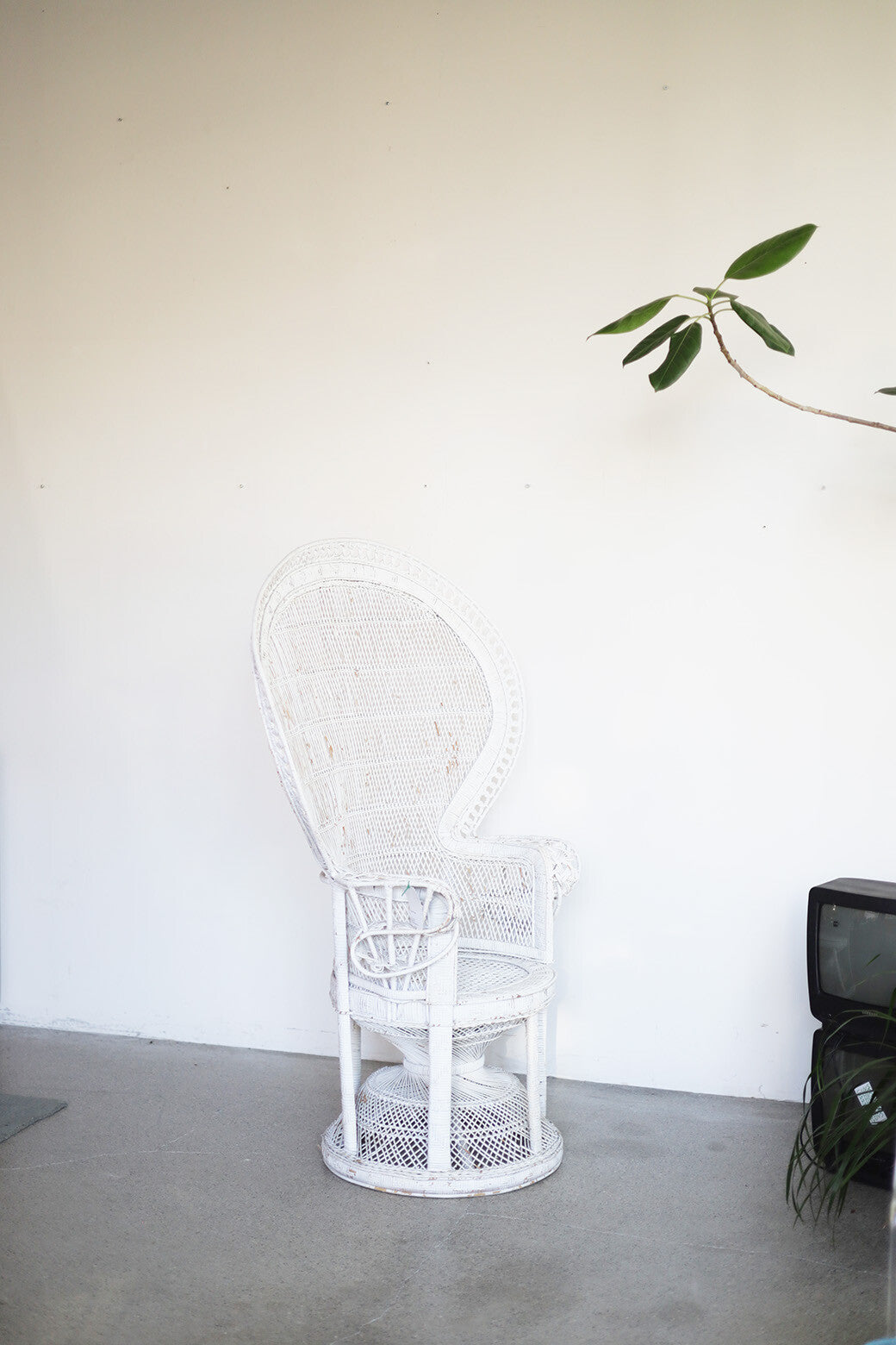 Vintage Peacock Oversized Chair